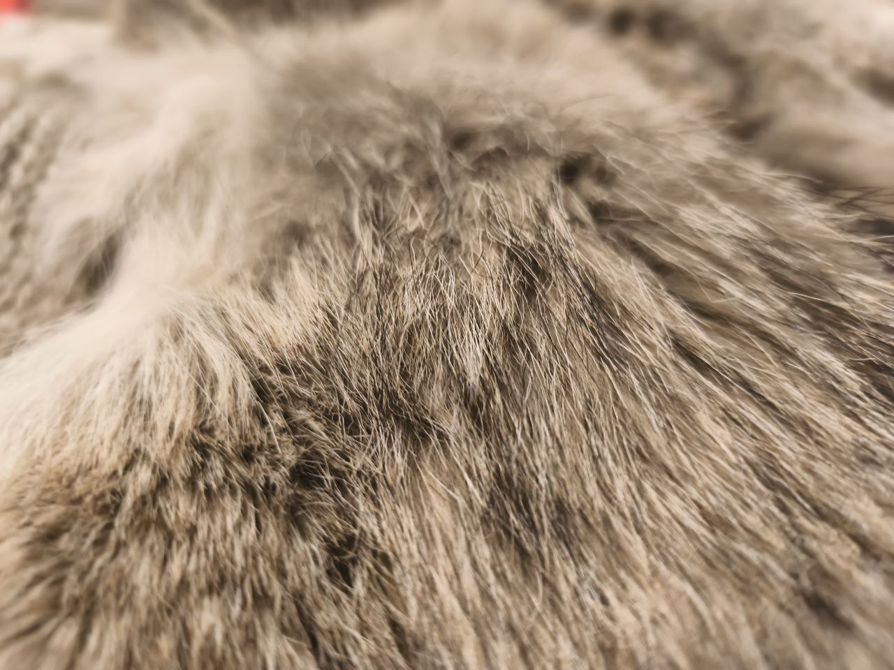 Real Fox Fur Knit Cardigan Jacket Women’s Size L – Genuine Fur Panels