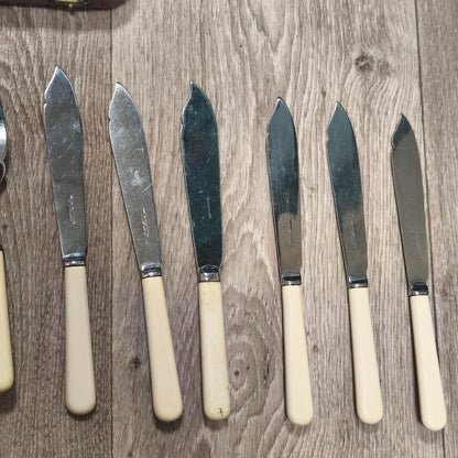 Vintage Sheffield Chrome Plate Cased Fish Cutlery Set 12Pc Faux Bone Knives Fork