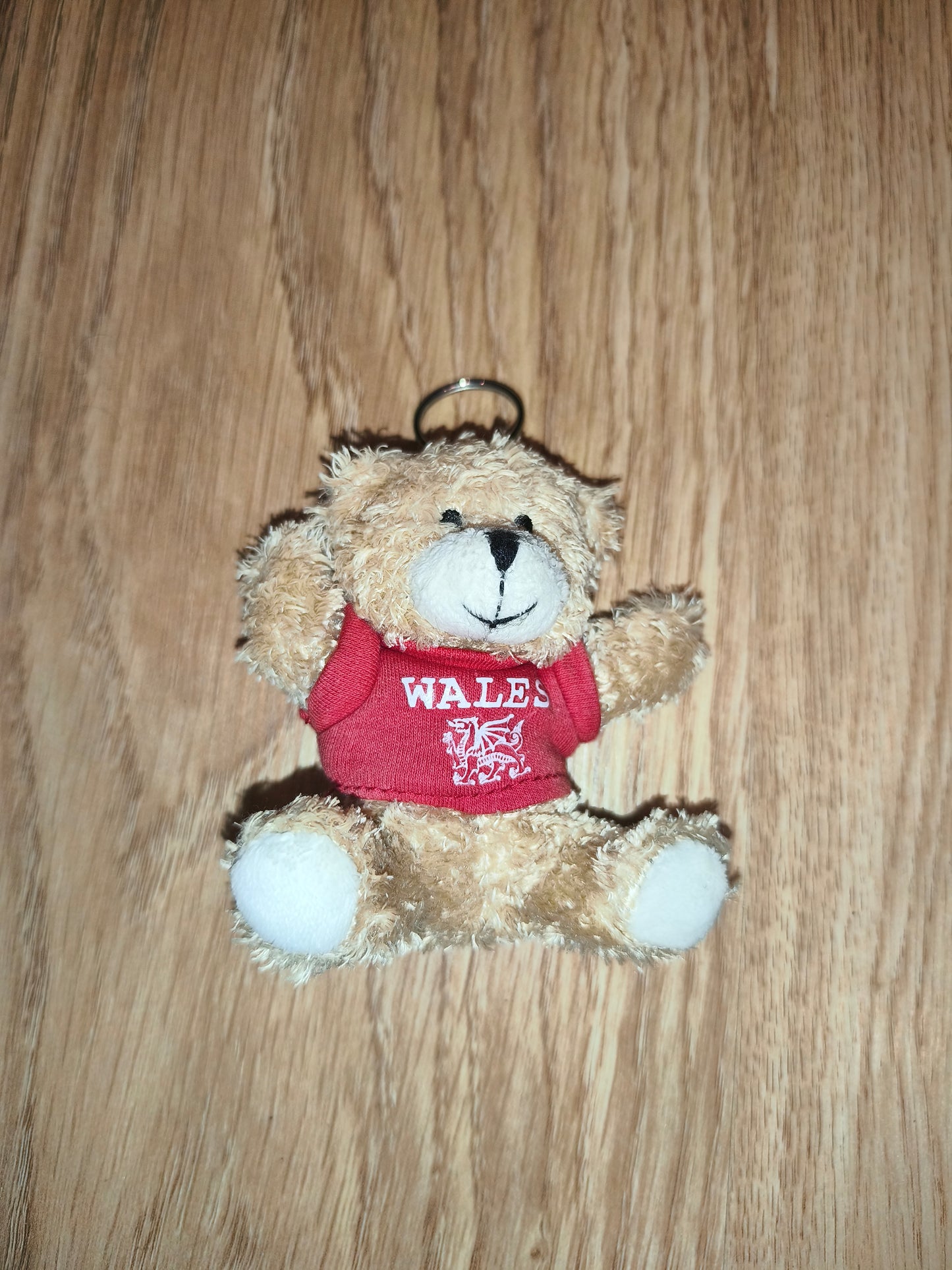 Vintage Wales Welsh Dragon Souvenir Plush Teddy Bear Keychain | Red T-Shirt Collectible Travel Gift