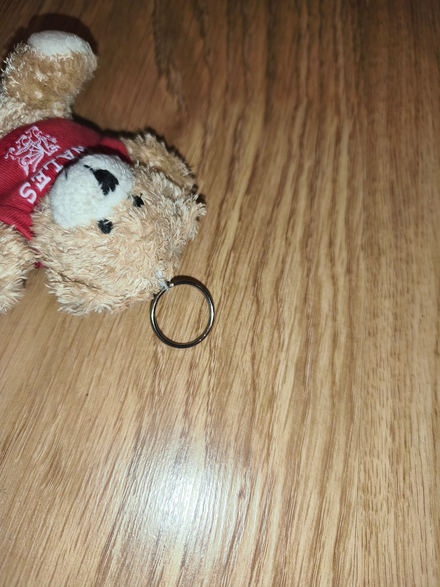 Vintage Wales Welsh Dragon Souvenir Plush Teddy Bear Keychain | Red T-Shirt Collectible Travel Gift