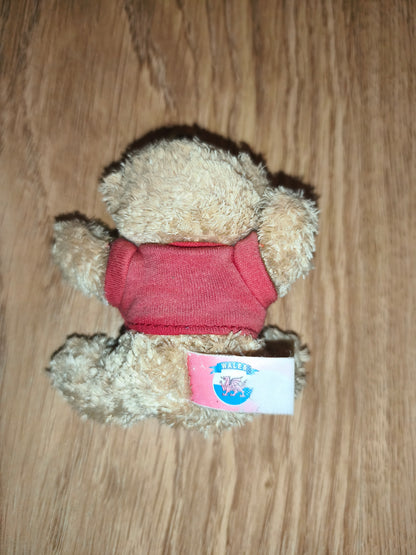 Vintage Wales Welsh Dragon Souvenir Plush Teddy Bear Keychain | Red T-Shirt Collectible Travel Gift