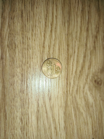 Slovakia 1 Koruna Coin – 1993 Vintage European Currency