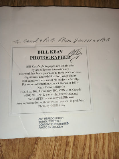 Bill Keay Vintage Orca Wildlife Photography Print – Mounted & Matted (41x18 cm)