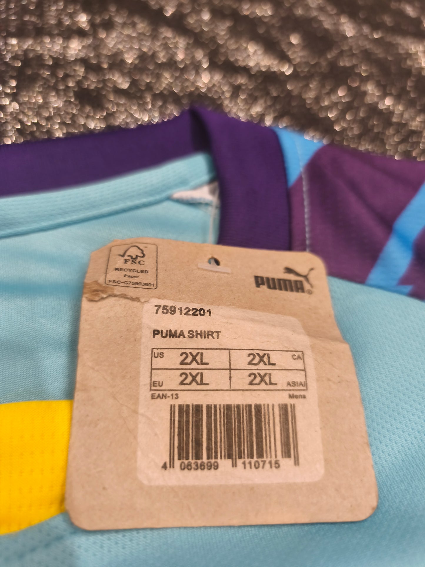 BNWT Borussia Dortmund 2024/2025 Third Kit Jersey – Puma (Size 2XL)