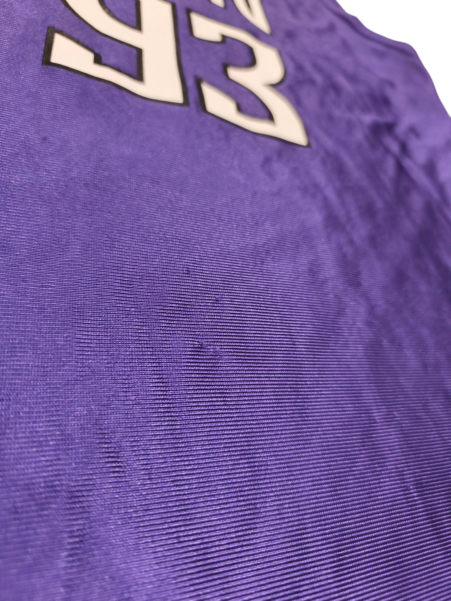 Vintage Ron Artest Sacramento Kings Jersey #93 Purple NBA Men's Size Large L