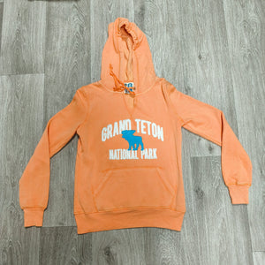 Blue 84 Grand Teton National Park Hoodie Sweatshirt Orange Size S Moose Graphic