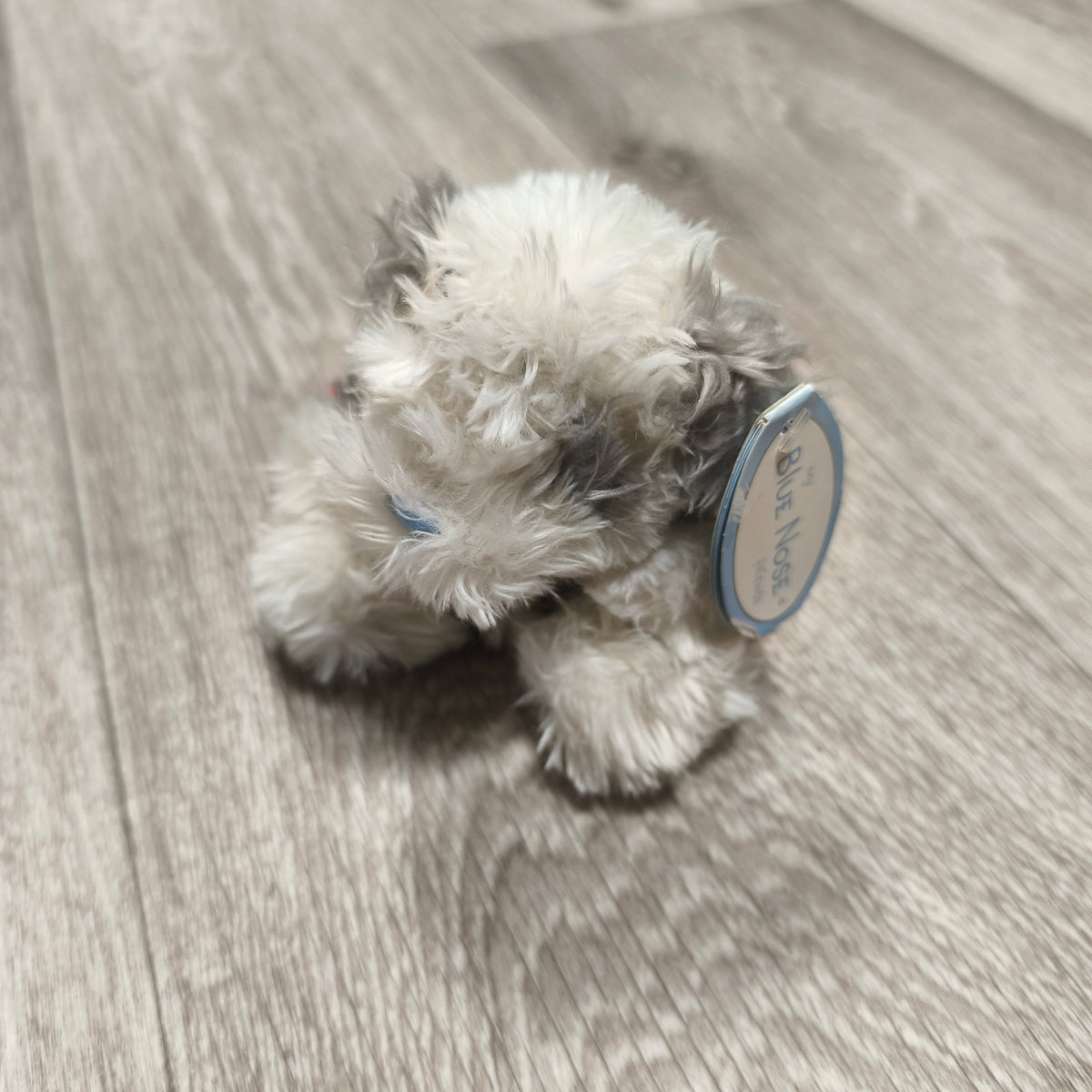 My Blue Nose Friends Plush Dog Soft Toy Grey White Shaggy Blue Nose Teddy Tag