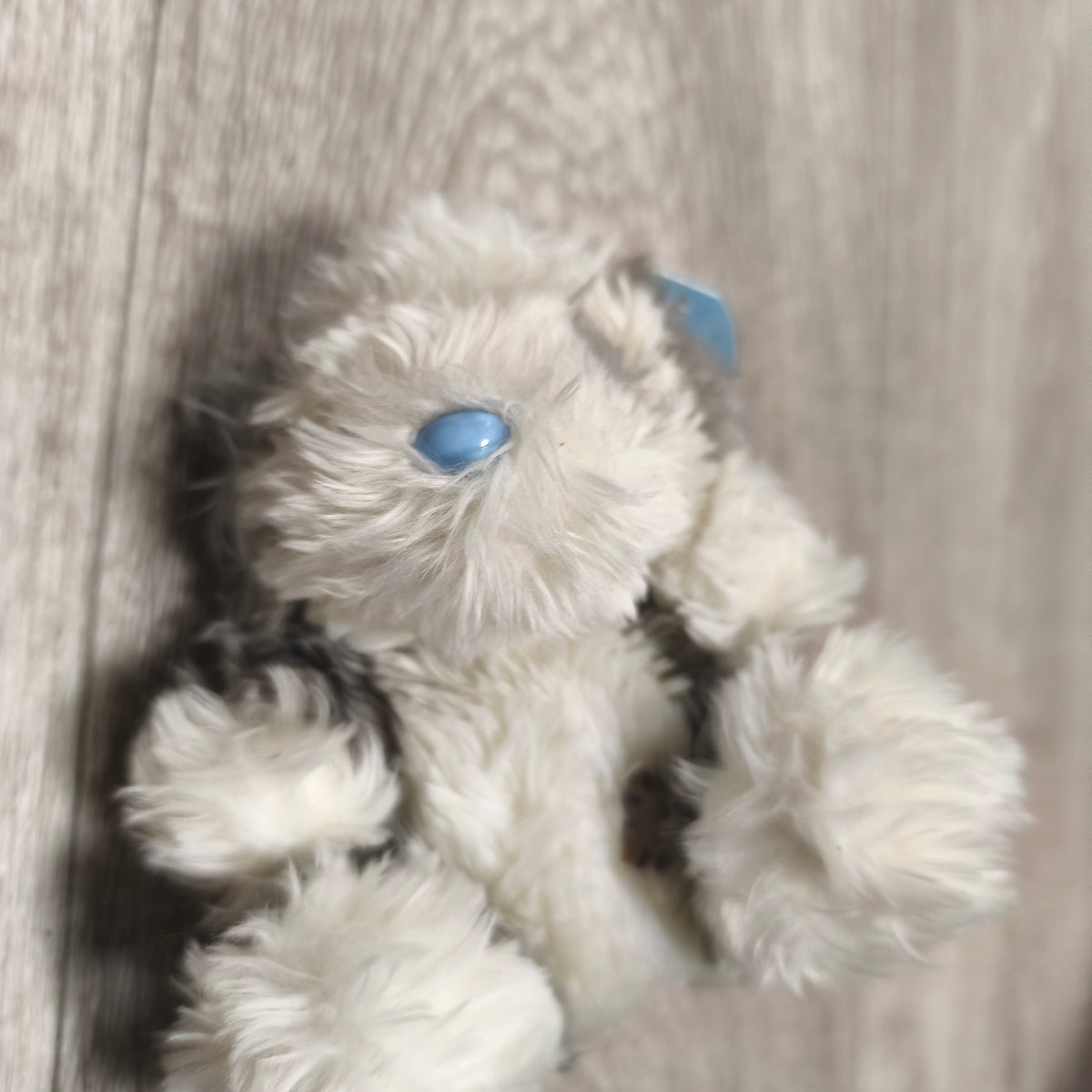 My Blue Nose Friends Plush Dog Soft Toy Grey White Shaggy Blue Nose Teddy Tag