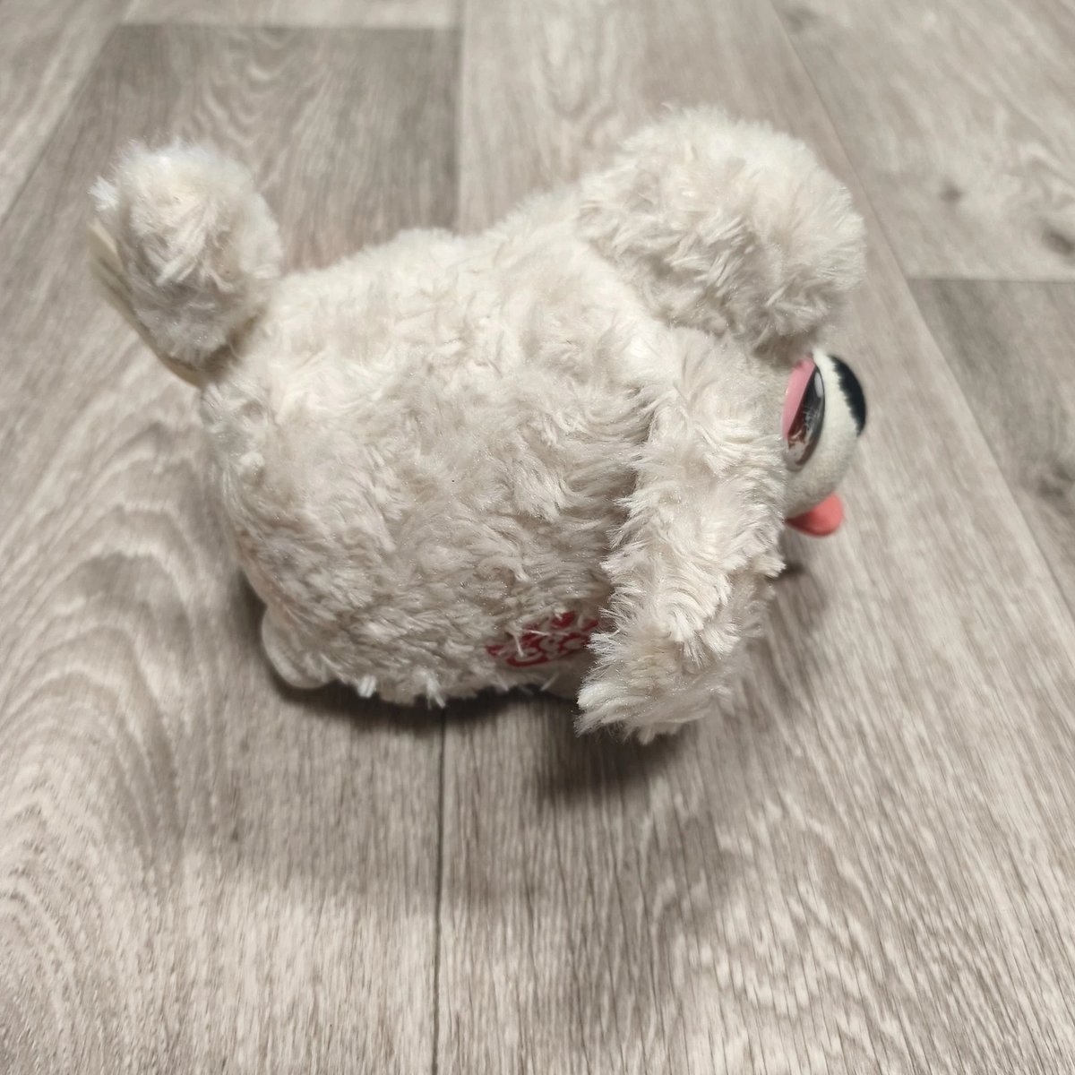 Spin Master Chubby Puppies & Friends White Poodle Plush Dog Zipper Belly Toy
